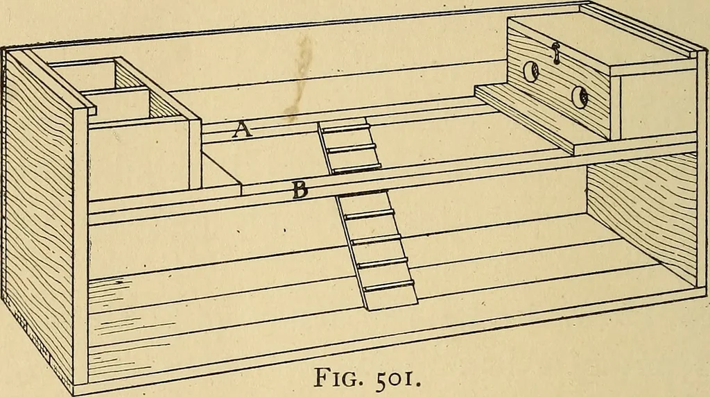 An illustration from Handicraft for handy boys; practical plans for work and play, with many ideas for earning money, 1911, leaf 473