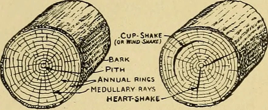 An illustration from Handicraft for handy boys; practical plans for work and play, with many ideas for earning money, 1911, leaf 80