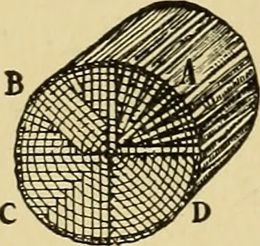 An illustration from Handicraft for handy boys; practical plans for work and play, with many ideas for earning money, 1911, leaf 80