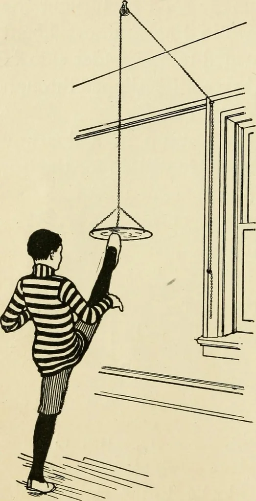 An illustration from Handicraft for handy boys; : practical plans for work and play with many ideas for earning money,, 1911, leaf 216
