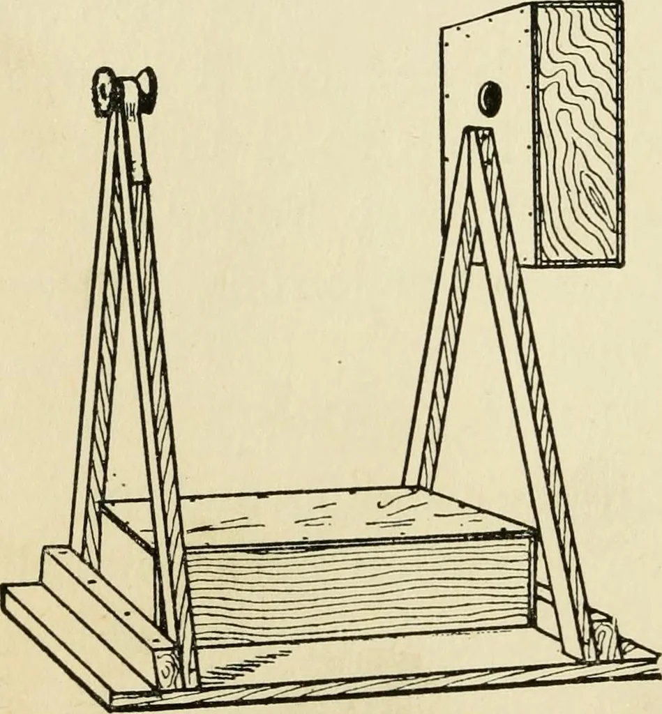 An illustration from Handicraft for handy boys; : practical plans for work and play with many ideas for earning money,, 1911, leaf 248