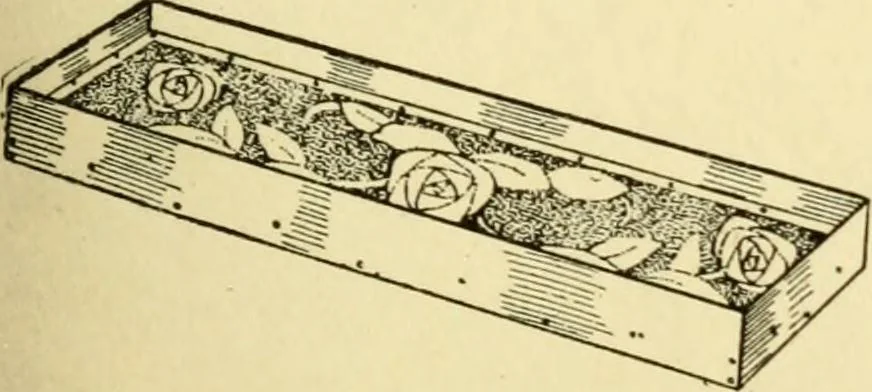 An illustration from Handicraft for handy boys; : practical plans for work and play with many ideas for earning money,, 1911, leaf 261