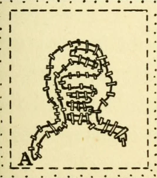 An illustration from Handicraft for handy boys; : practical plans for work and play with many ideas for earning money,, 1911, leaf 317