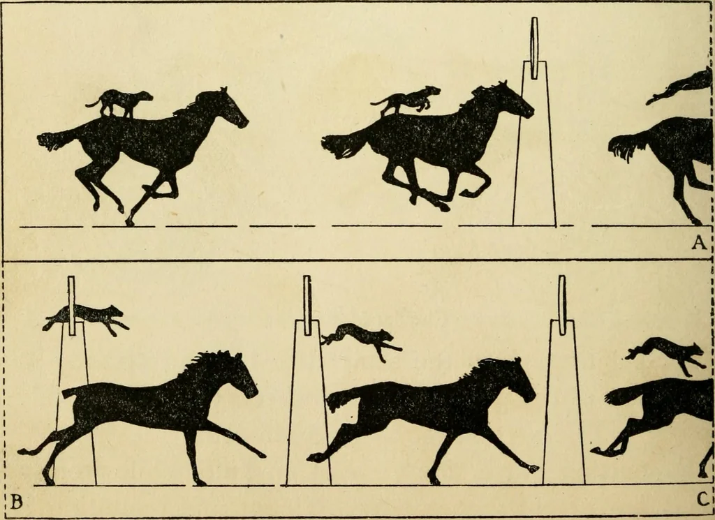 An illustration from Handicraft for handy boys; : practical plans for work and play with many ideas for earning money,, 1911, leaf 324
