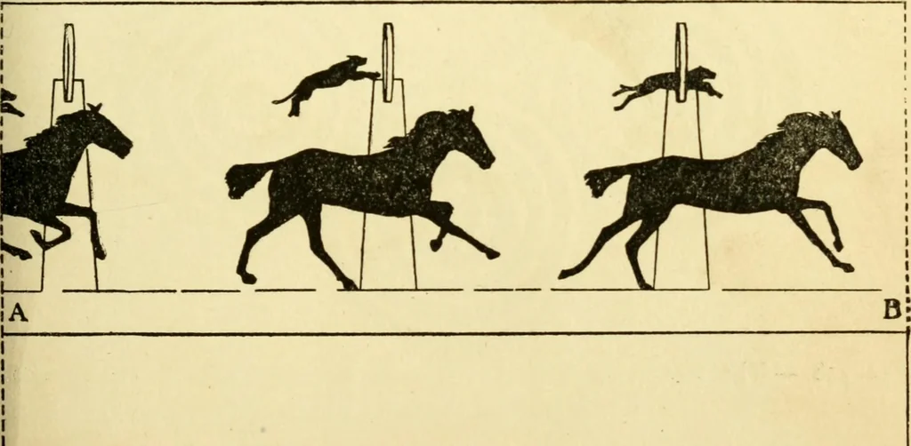 An illustration from Handicraft for handy boys; : practical plans for work and play with many ideas for earning money,, 1911, leaf 325