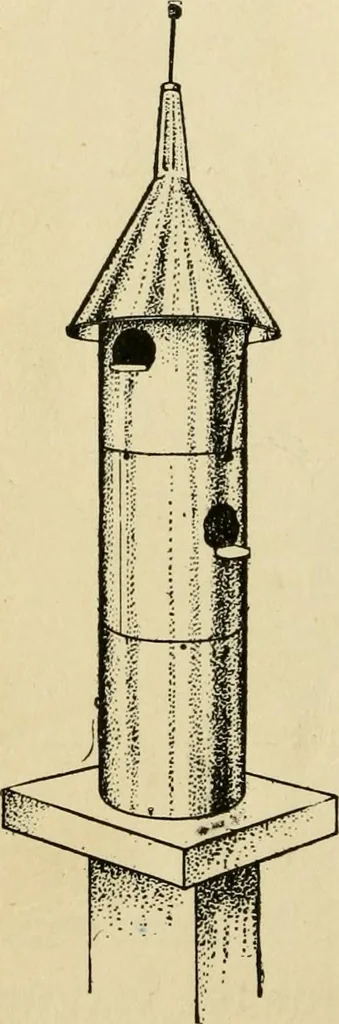 An illustration from Handicraft for handy boys; : practical plans for work and play with many ideas for earning money,, 1911, leaf 440