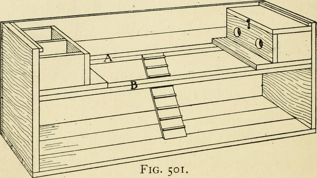 An illustration from Handicraft for handy boys; : practical plans for work and play with many ideas for earning money,, 1911, leaf 458