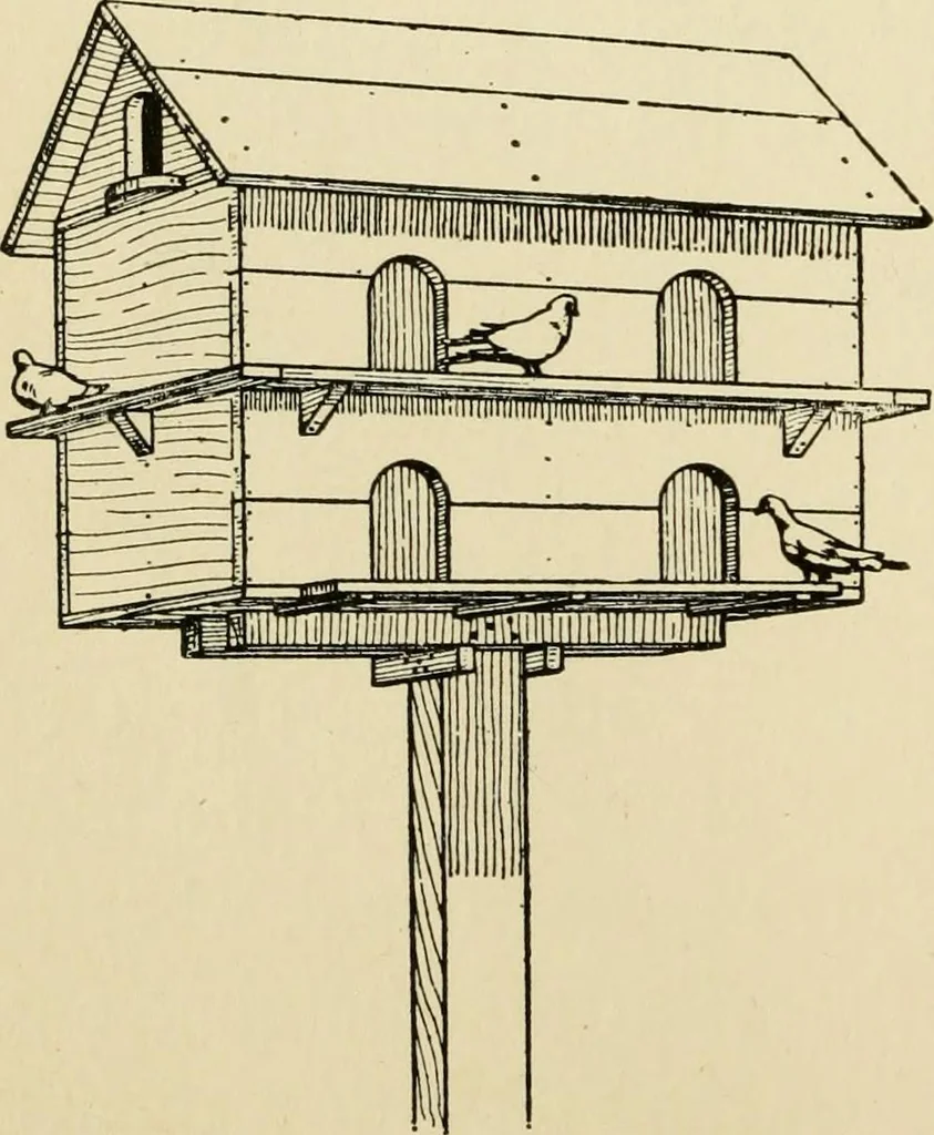 An illustration from Handicraft for handy boys; : practical plans for work and play with many ideas for earning money,, 1911, leaf 460