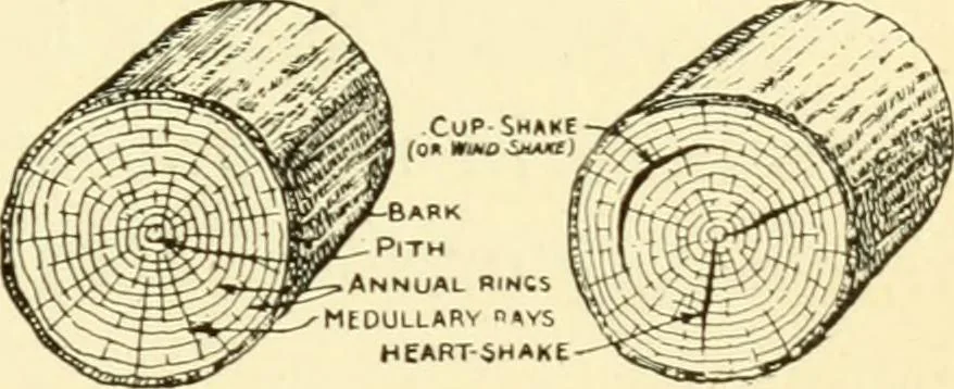 An illustration from Handicraft for handy boys; : practical plans for work and play with many ideas for earning money,, 1911, leaf 73