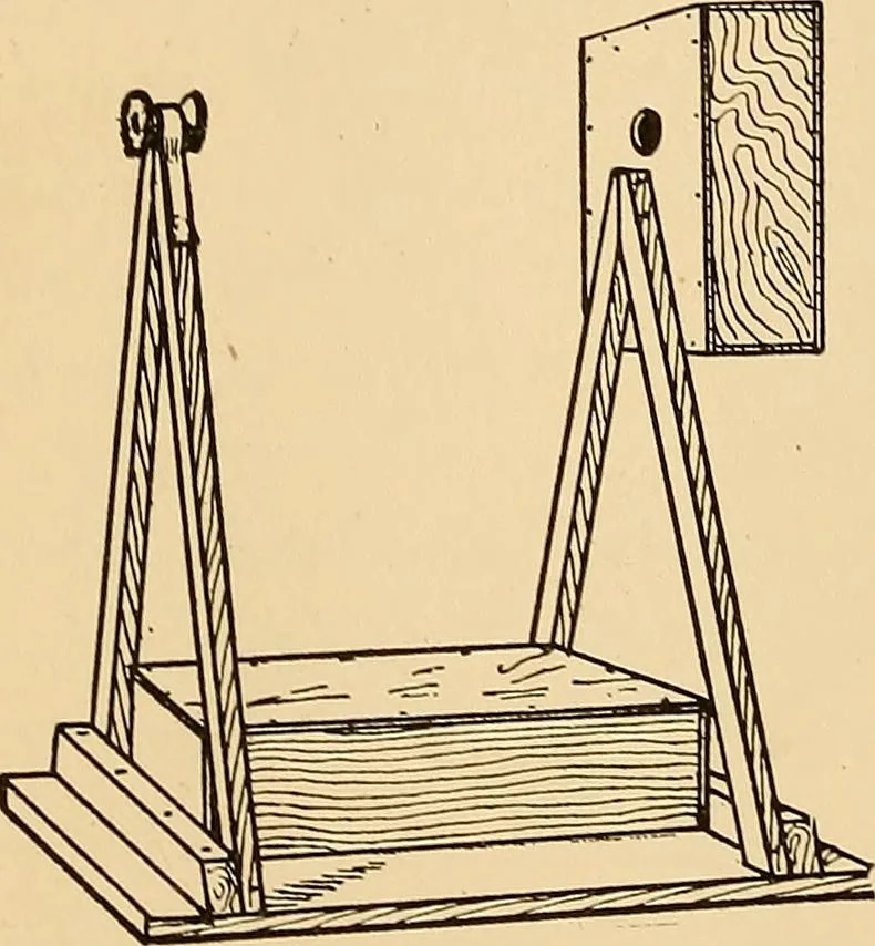 An illustration from Handicraft for handy boys; practical plans for work and play, with many ideas for earning money, 1911, leaf 250