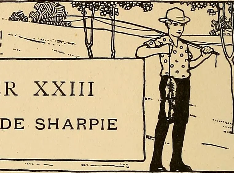 An illustration from Handicraft for handy boys; practical plans for work and play, with many ideas for earning money, 1911, leaf 422