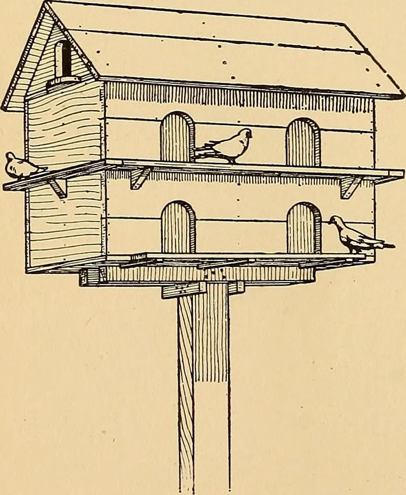 An illustration from Handicraft for handy boys; practical plans for work and play, with many ideas for earning money, 1911, leaf 474