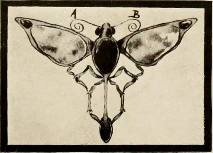An illustration from Handicrafts in the home, 1910, leaf 169
