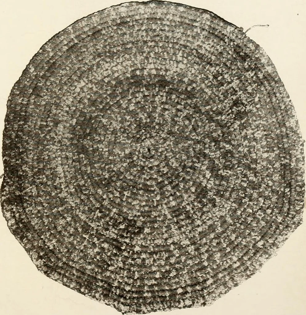An illustration from Handicrafts in the home, 1910, leaf 237