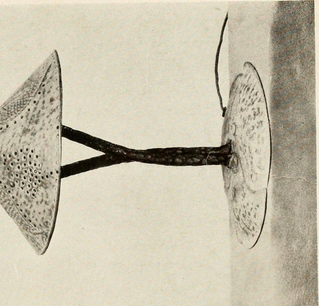 An illustration from Handicrafts in the home, 1910, leaf 31