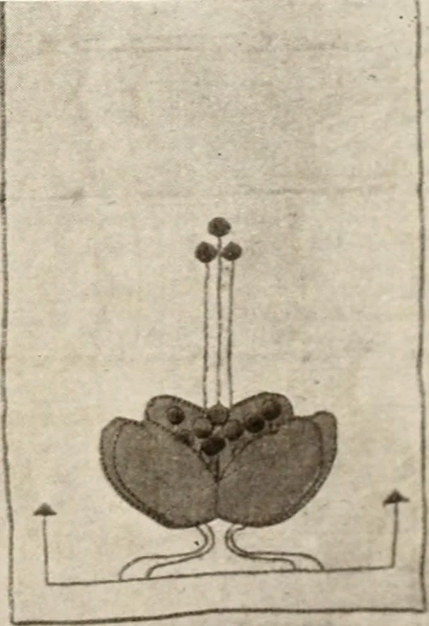 An illustration from Handicrafts in the home, 1910, leaf 319
