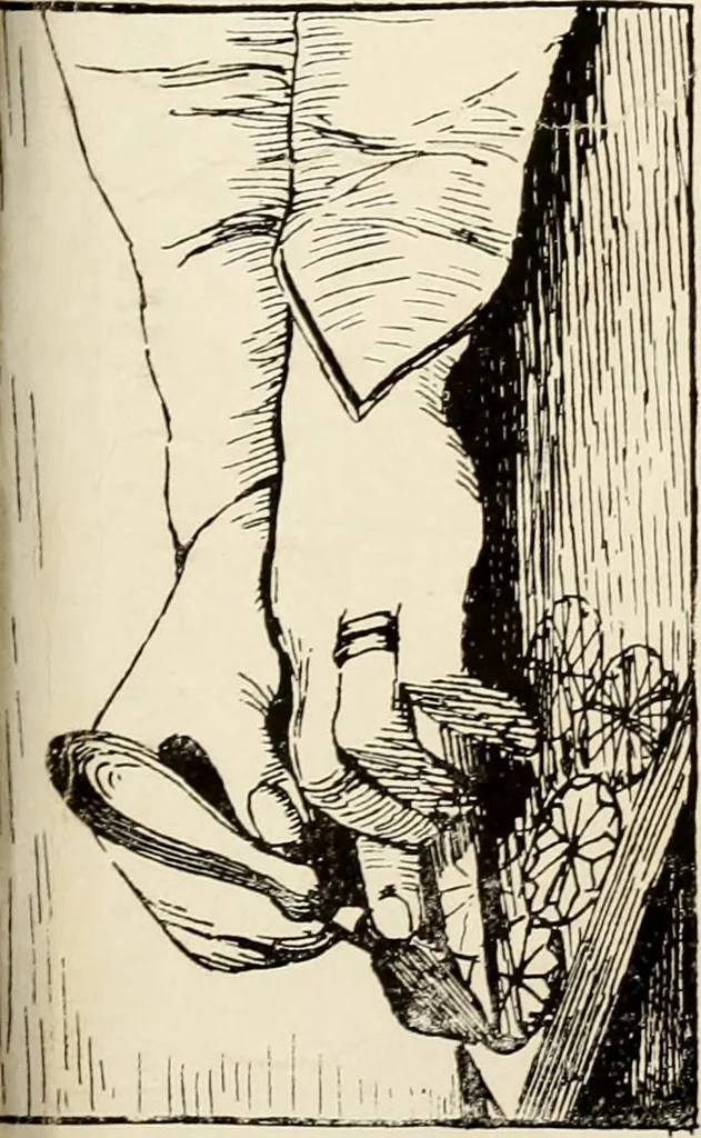 An illustration from Handicrafts in the home, 1910, leaf 83