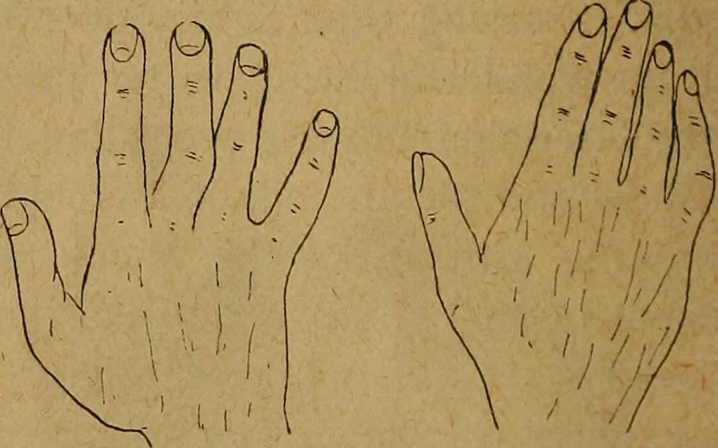 An illustration from The hand and its lines; a short treatise on palmistry .., 1902, leaf 14