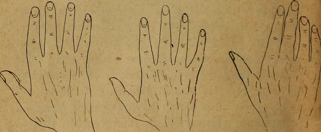An illustration from The hand and its lines; a short treatise on palmistry .., 1902, leaf 14