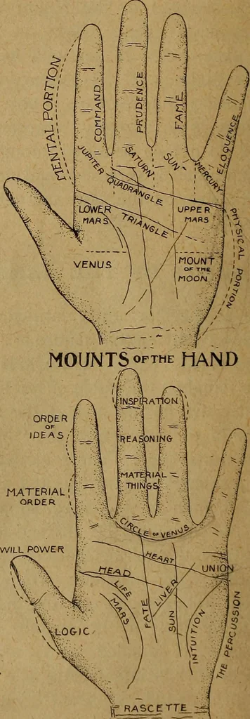 An illustration from The hand and its lines; a short treatise on palmistry .., 1902, leaf 16