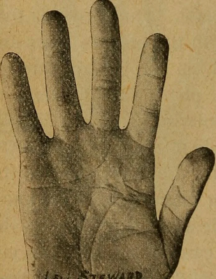 An illustration from The hand and its lines; a short treatise on palmistry .., 1902, leaf 22