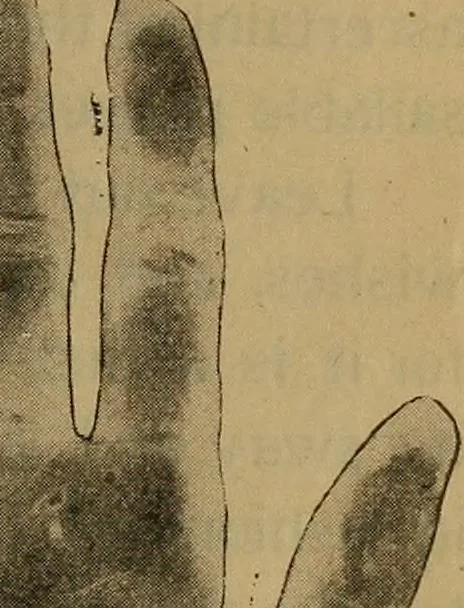 An illustration from The hand and its lines; a short treatise on palmistry .., 1902, leaf 27