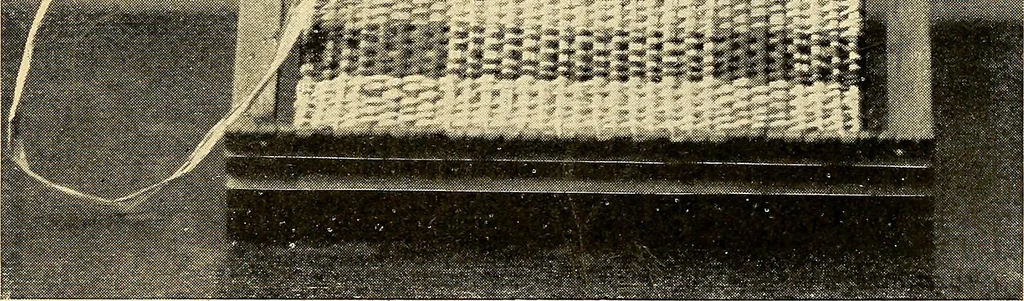 An illustration from Hand-loom weaving; a manual for school and home, 1902, leaf 101