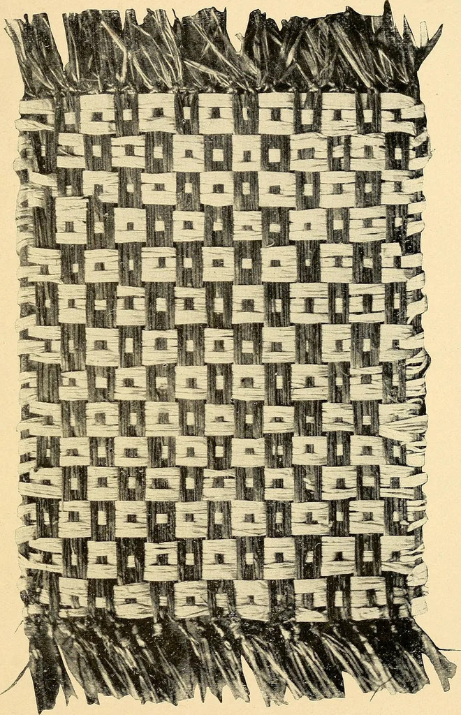 An illustration from Hand-loom weaving; a manual for school and home, 1902, leaf 103