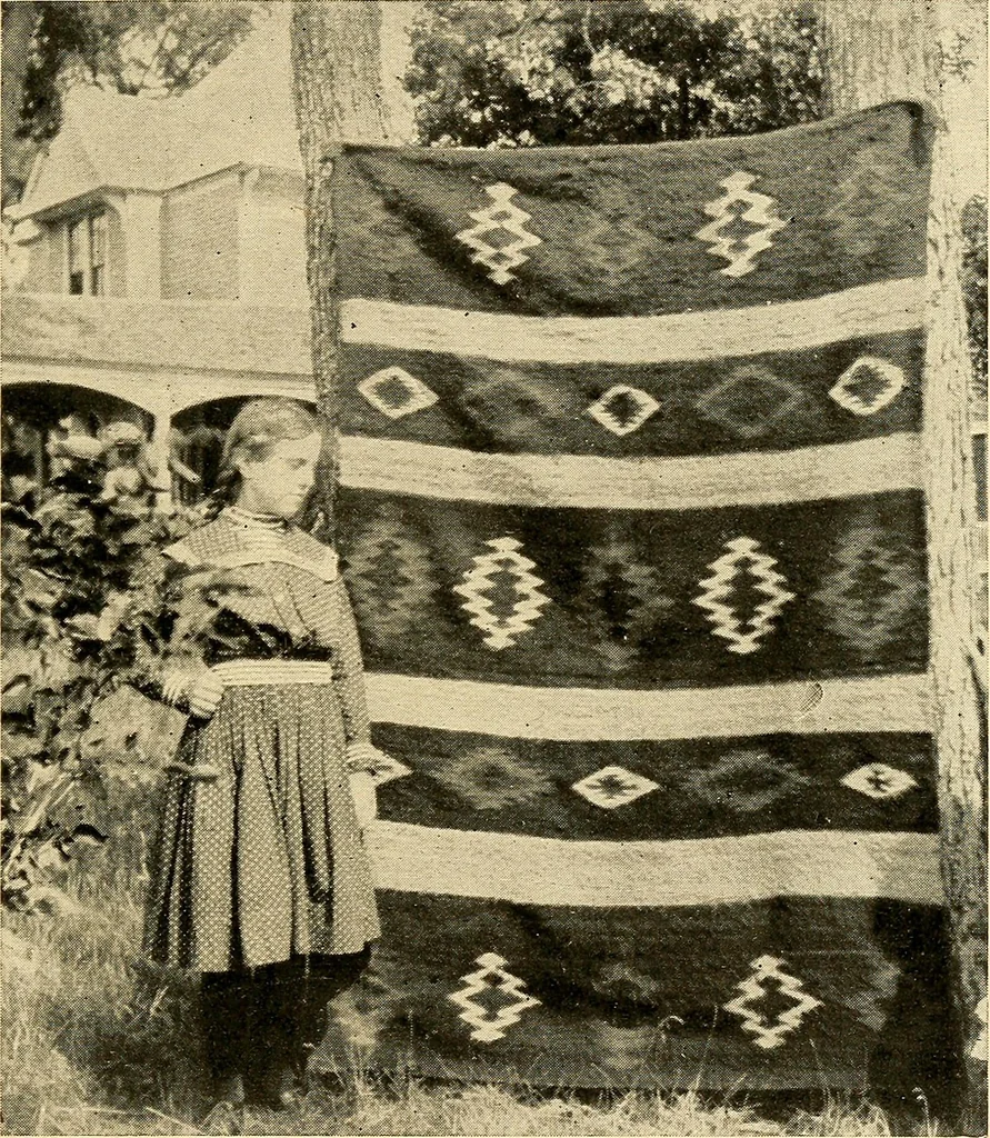 An illustration from Hand-loom weaving; a manual for school and home, 1902, leaf 141
