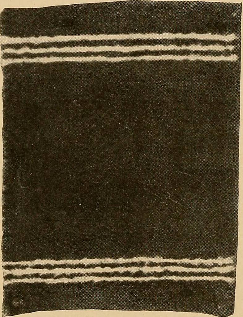 An illustration from Hand-loom weaving; a manual for school and home, 1902, leaf 86
