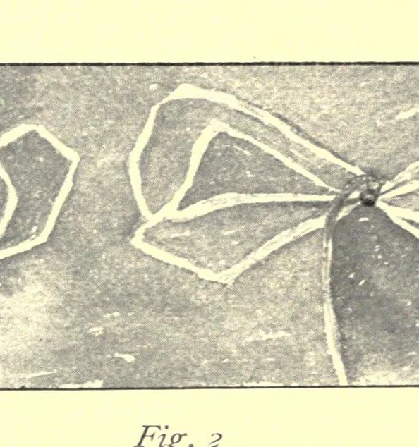 An illustration from Hand work for kindergartens and primary schools; domestic activities, wood work, raphia, drawing, blue print;, 1904, leaf 53