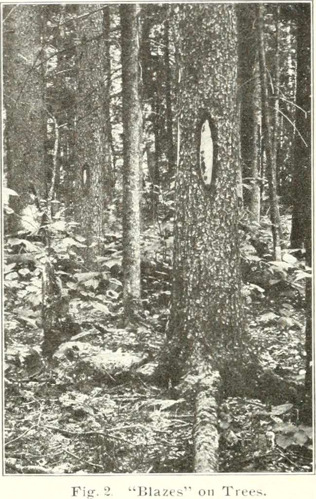 An illustration from Handwork in wood, 1910, leaf 15
