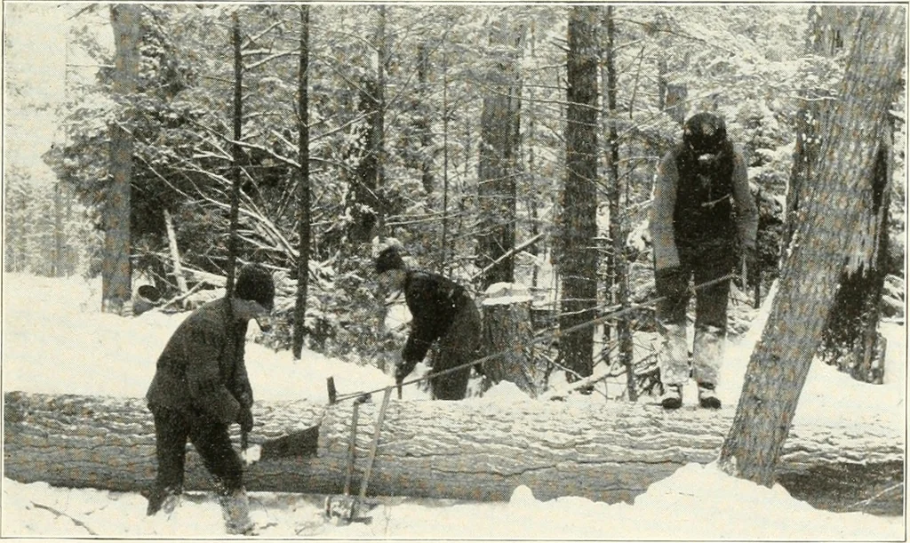 An illustration from Handwork in wood, 1910, leaf 18