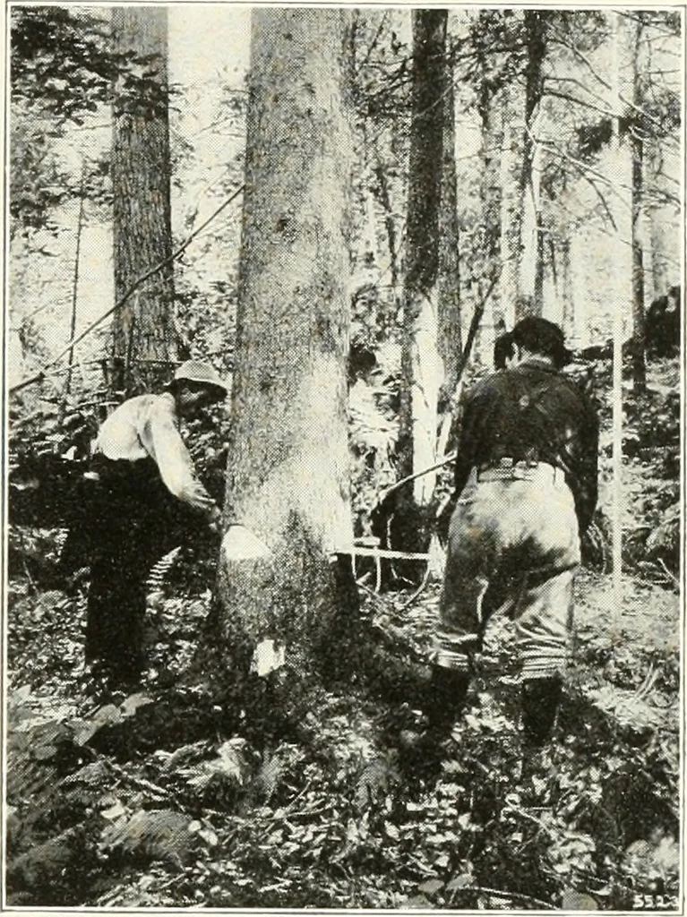 An illustration from Handwork in wood, 1910, leaf 18