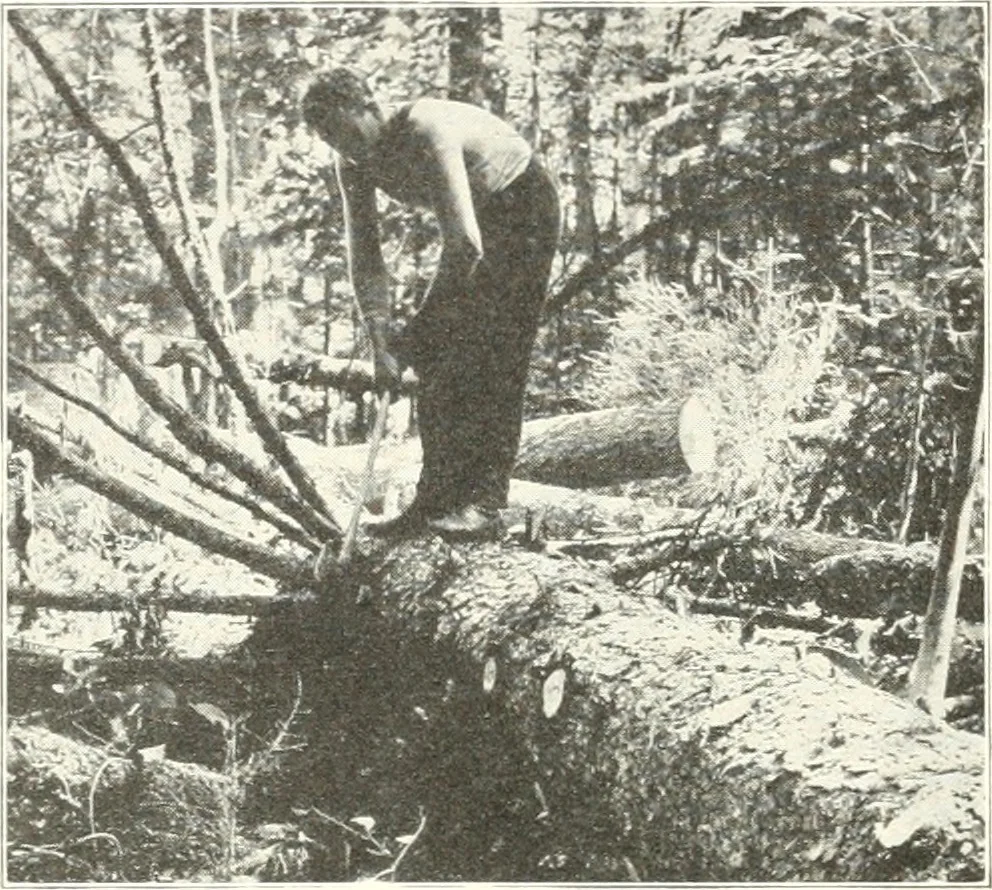 An illustration from Handwork in wood, 1910, leaf 19
