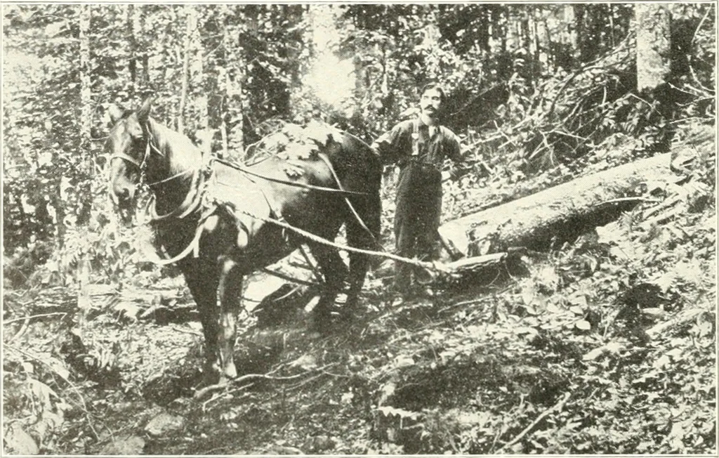 An illustration from Handwork in wood, 1910, leaf 19