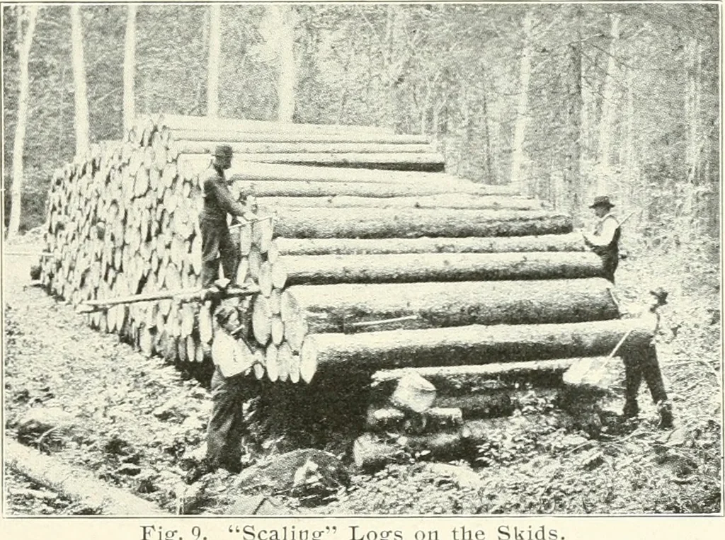 An illustration from Handwork in wood, 1910, leaf 20