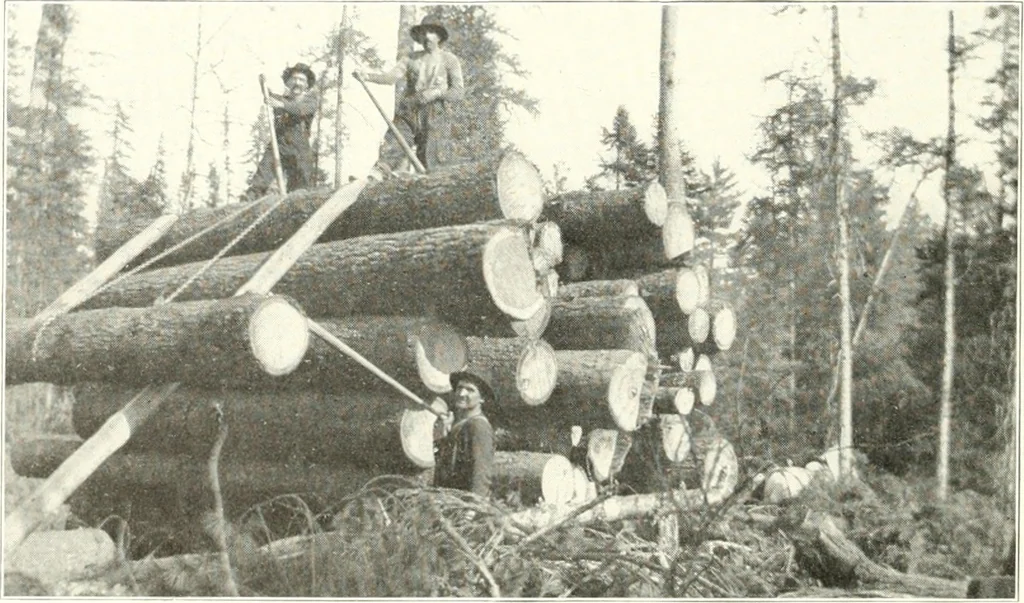 An illustration from Handwork in wood, 1910, leaf 21