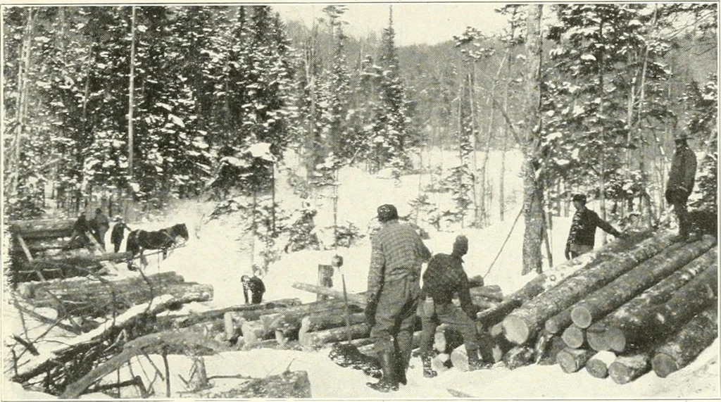An illustration from Handwork in wood, 1910, leaf 22