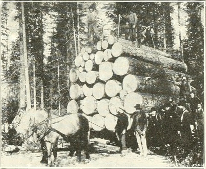An illustration from Handwork in wood, 1910, leaf 22
