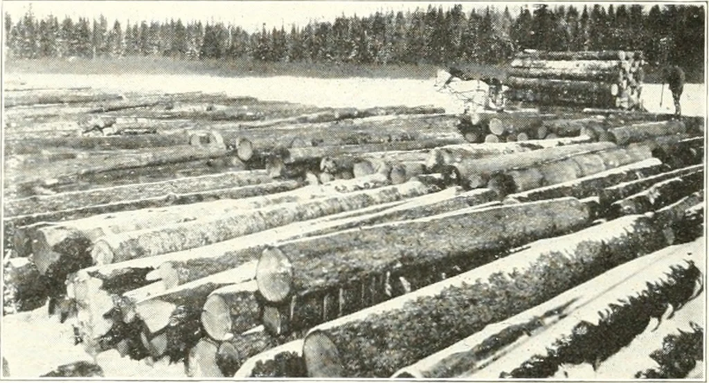An illustration from Handwork in wood, 1910, leaf 23