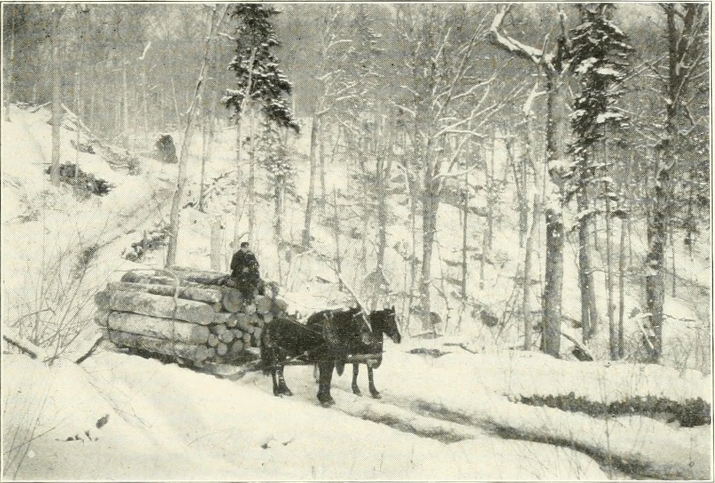 An illustration from Handwork in wood, 1910, leaf 24