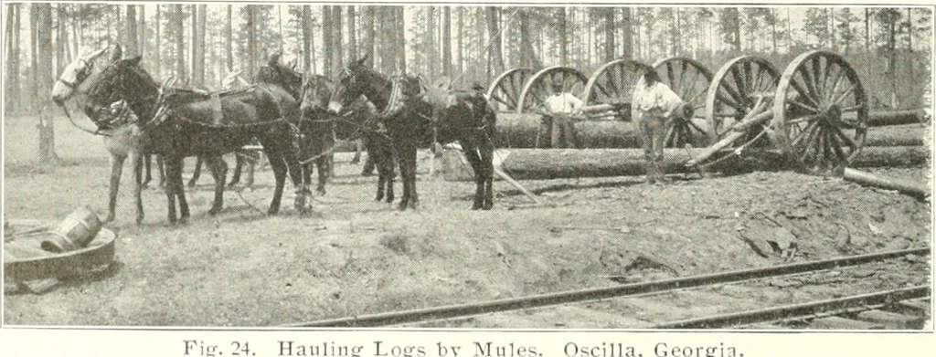 An illustration from Handwork in wood, 1910, leaf 29