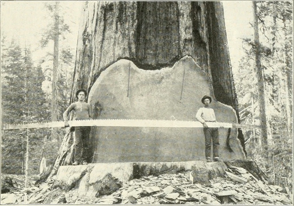 An illustration from Handwork in wood, 1910, leaf 30