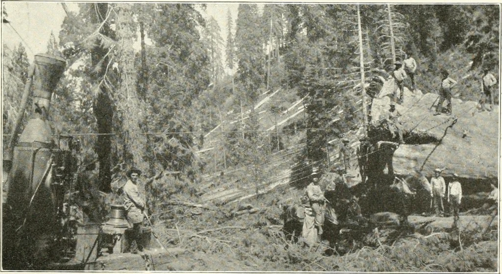 An illustration from Handwork in wood, 1910, leaf 30