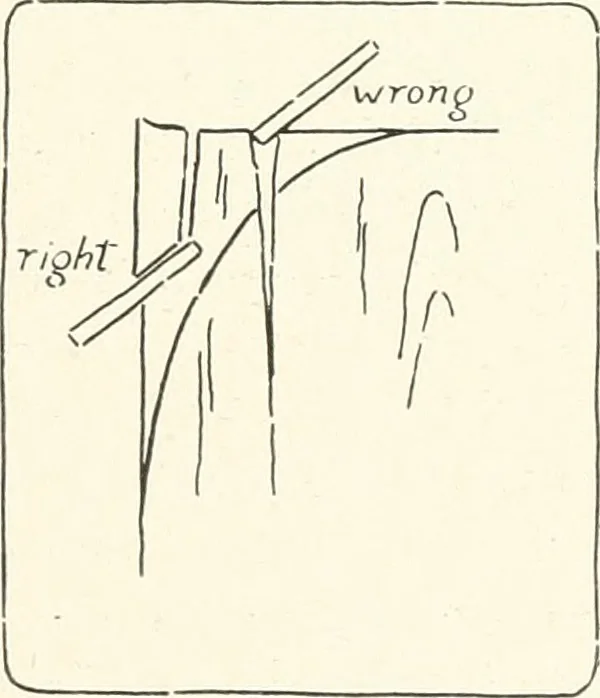 An illustration from Handwork in wood, 1910, leaf 64