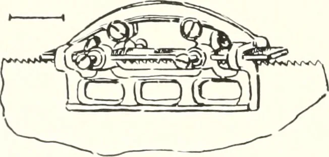 An illustration from Handwork in wood, 1910, leaf 75