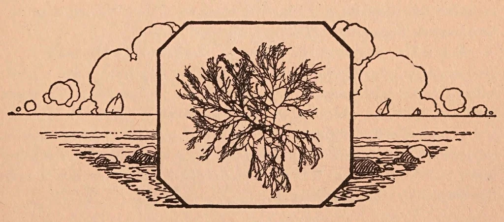 An illustration from Handy hands book, 1924, leaf 17
