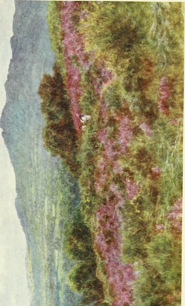 An illustration from Happy England as painted by Helen Allingham, R.W.S, 1903, leaf 164