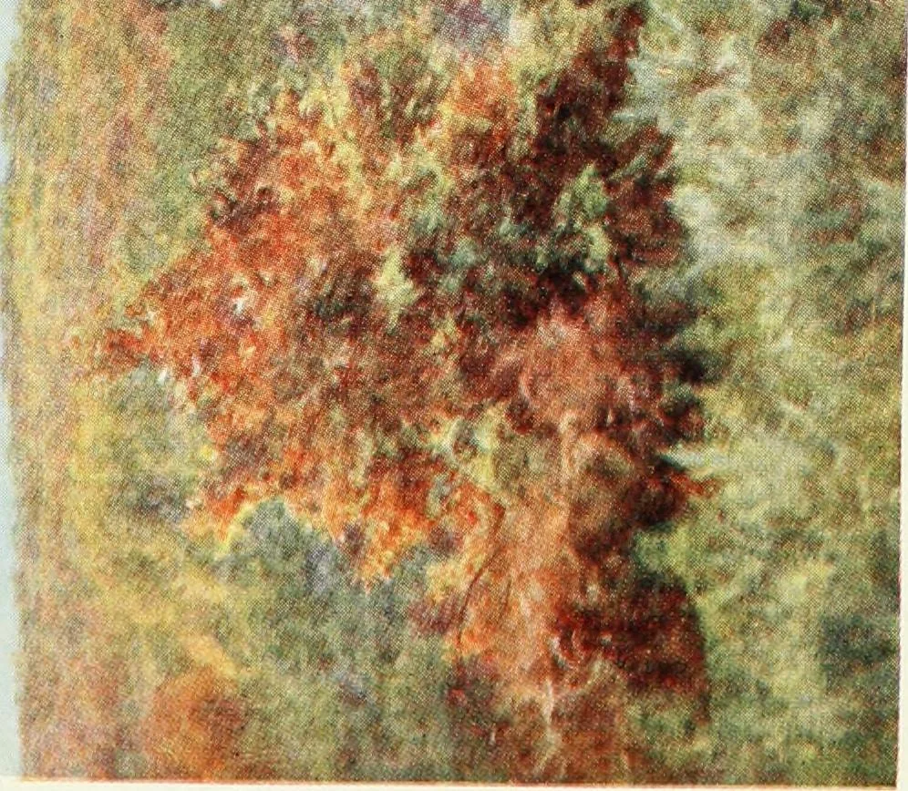 An illustration from Happy England as painted by Helen Allingham, R.W.S, 1903, leaf 174